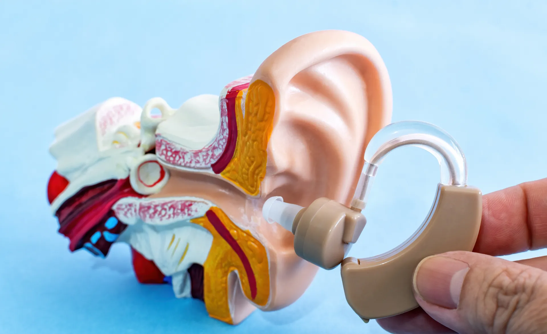 Hearing Aid