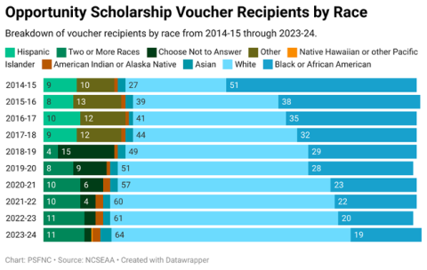 Vouchers recipients by race